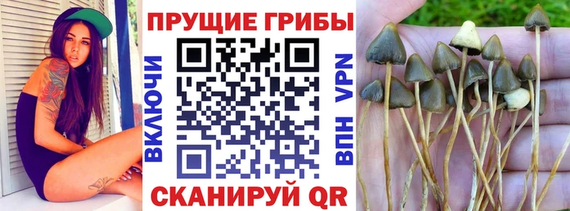 Галлюциногенные грибы ЛСД  Пересвет 
